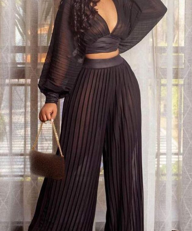 Sleeve Mesh Crop Top Pleated Wide Leg Pants Sets